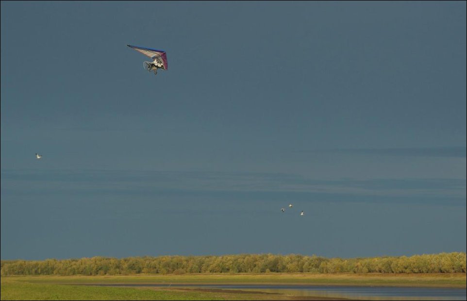 Путин и журавли