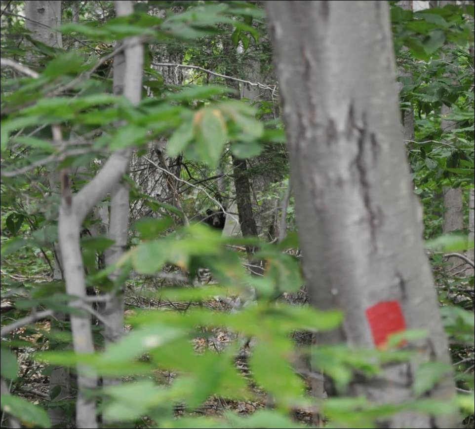 Я слежу за тобой