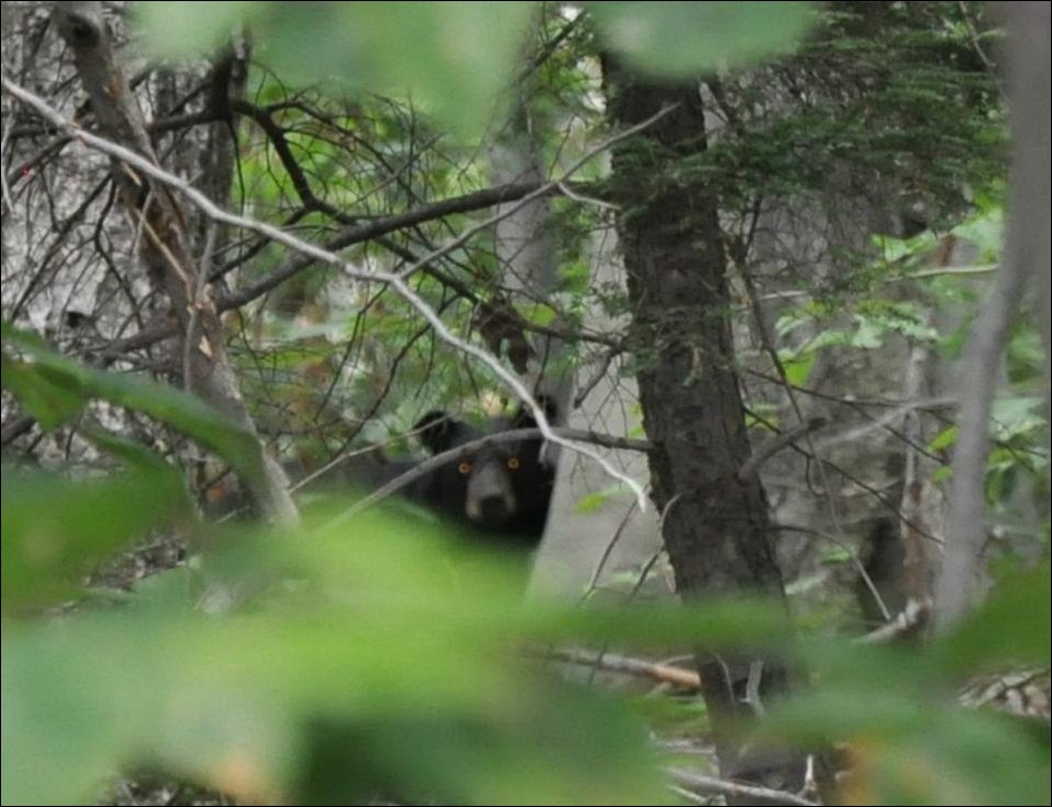 Я слежу за тобой