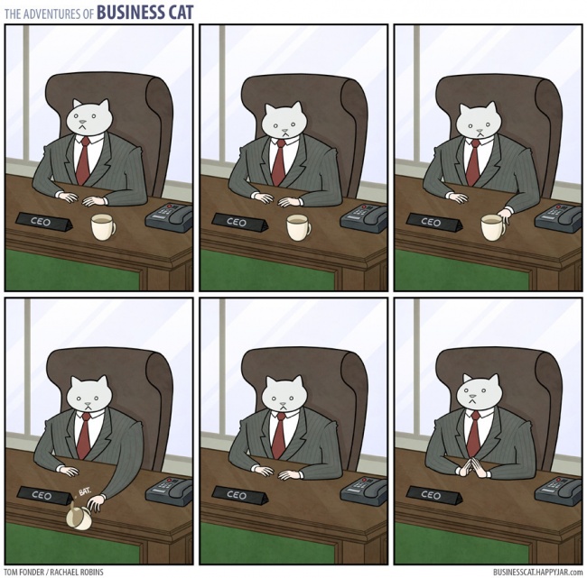 Приключения делового кота