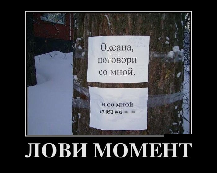 Демотиватор