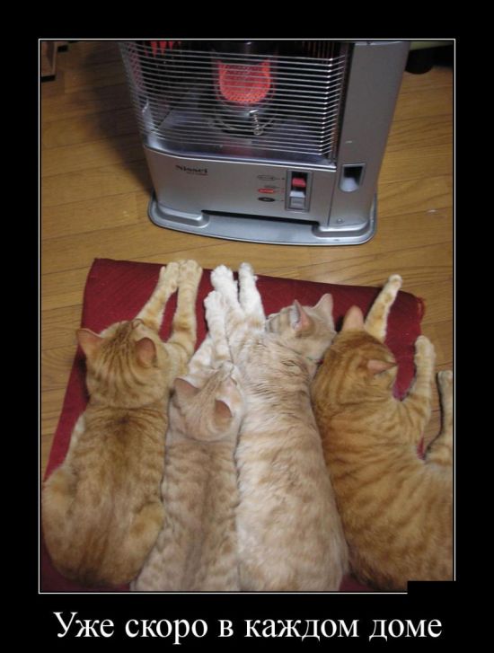 Демотиватор