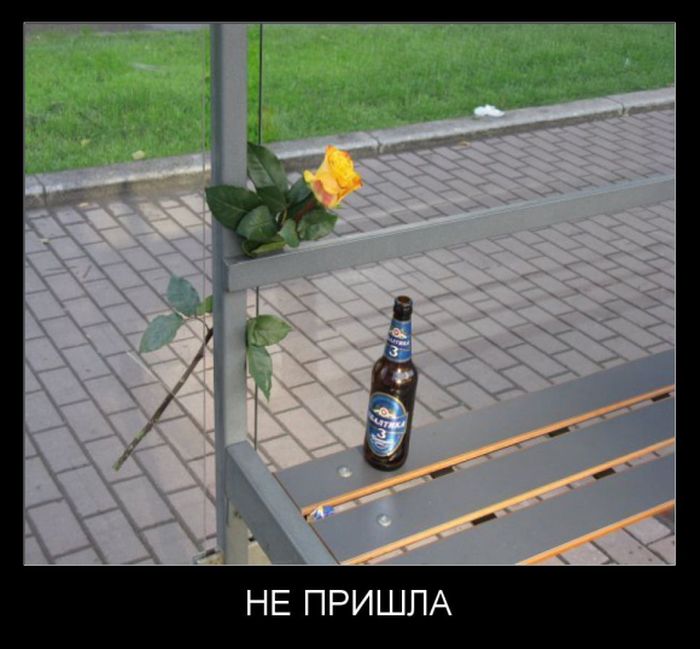 Демотиватор