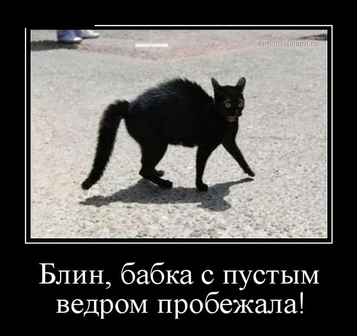 Демотиватор