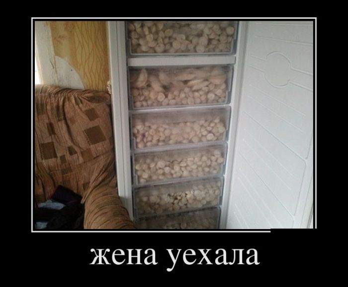 Демотиватор