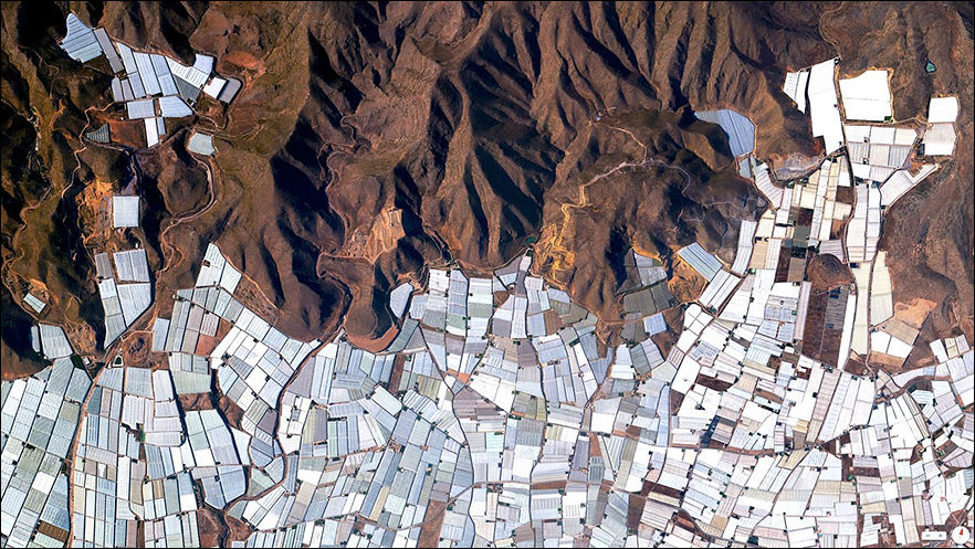 спутниковый снимок
