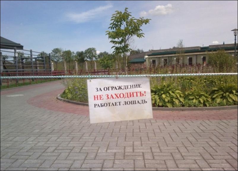 Прикольные надписи и объявления