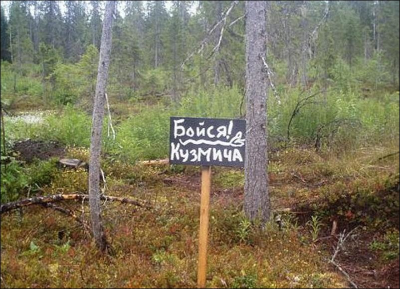 Прикольные надписи и объявления