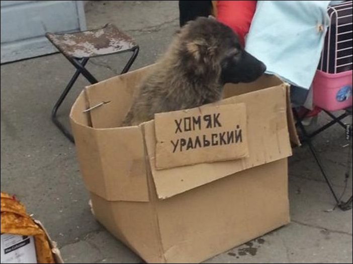 Прикольные надписи и объявления