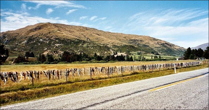 Забор бюстгальтеров