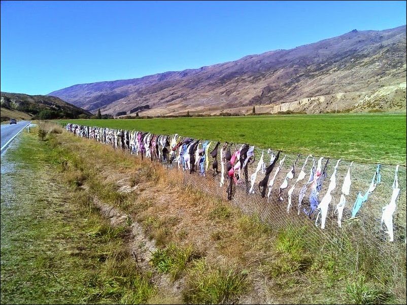 Забор бюстгальтеров