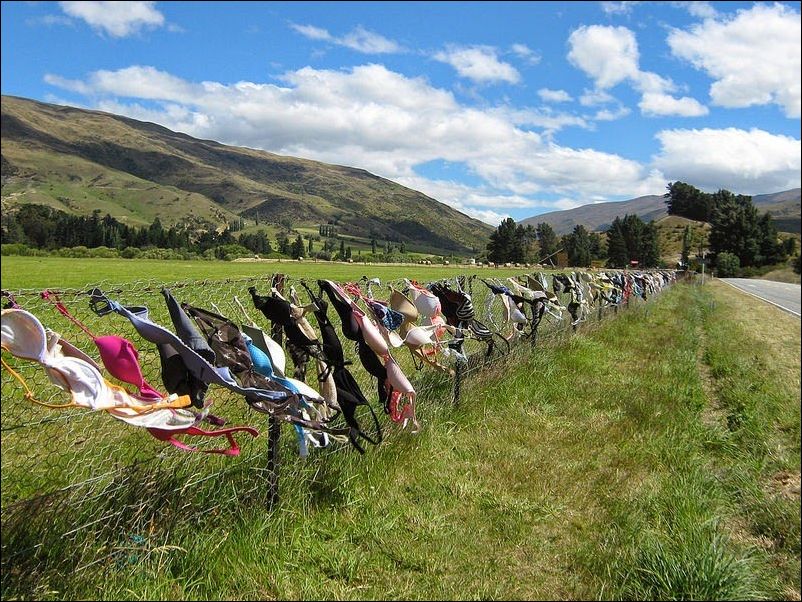 Забор бюстгальтеров