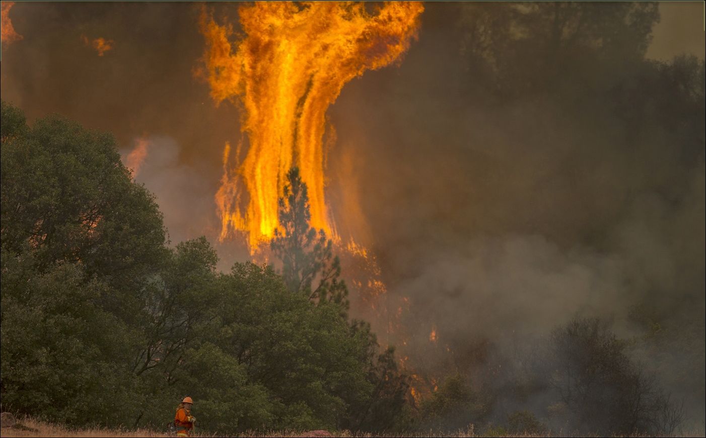 Лесные пожары в Калифорнии