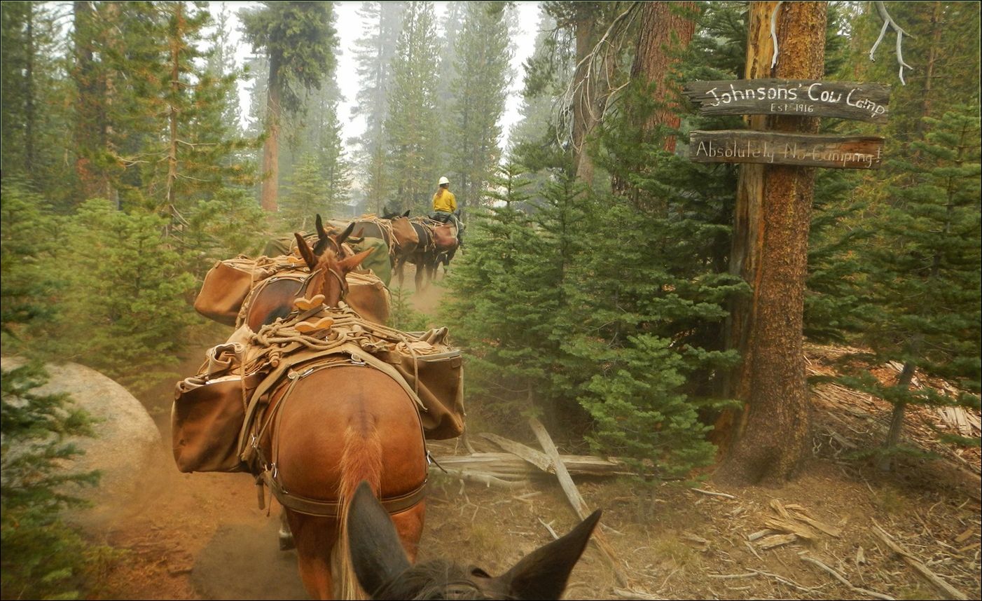 Лесные пожары в Калифорнии