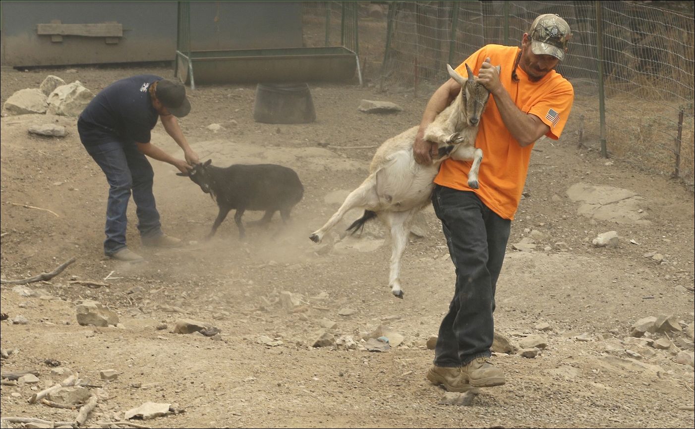 Лесные пожары в Калифорнии