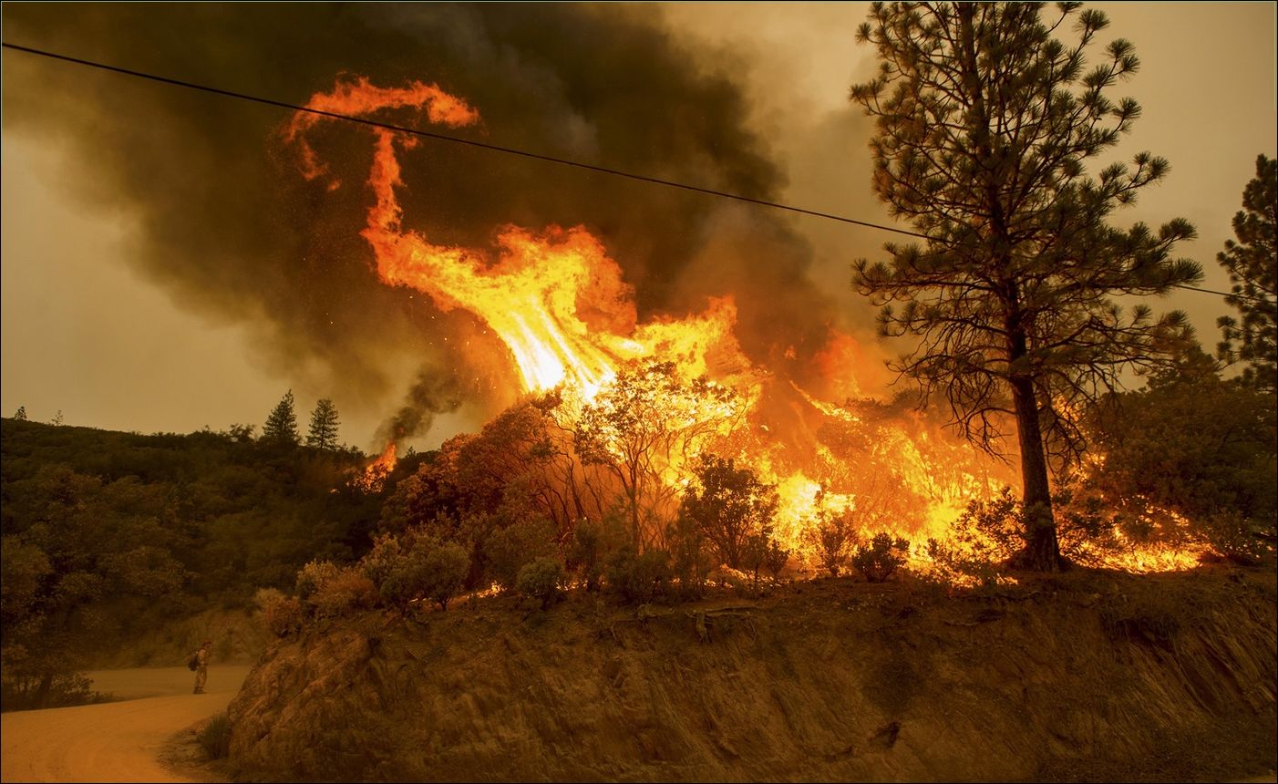 Лесные пожары в Калифорнии