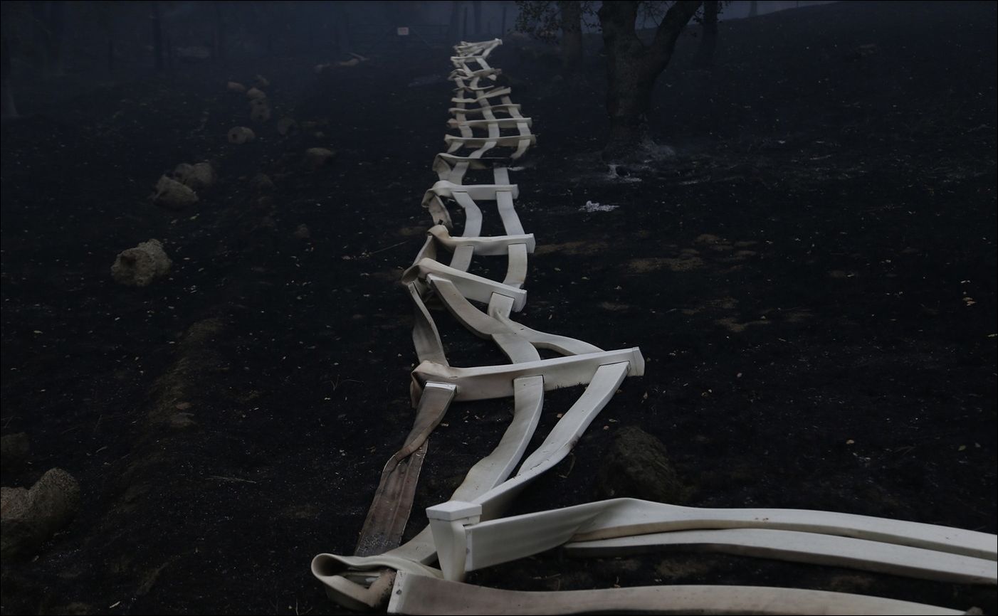 Лесные пожары в Калифорнии