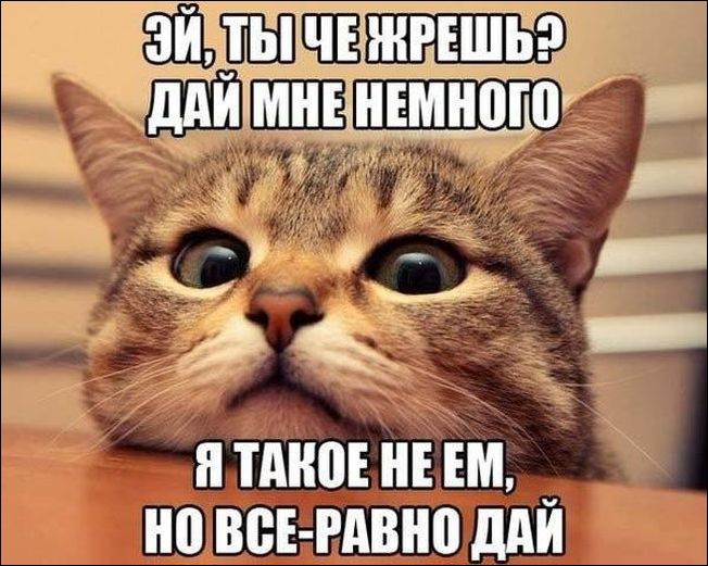 Комиксы и карикатуры