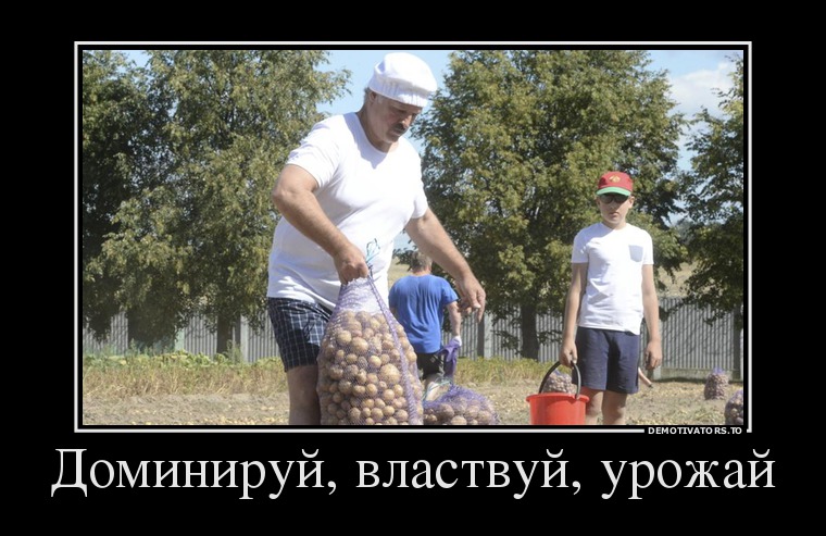 Демотиватор