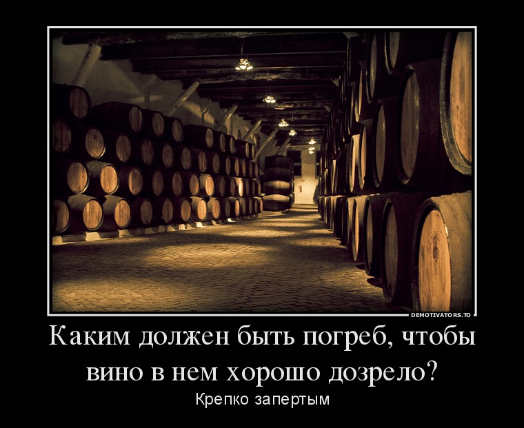 Демотиватор