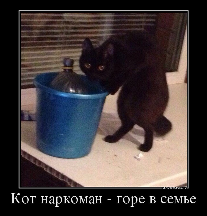 Демотиватор