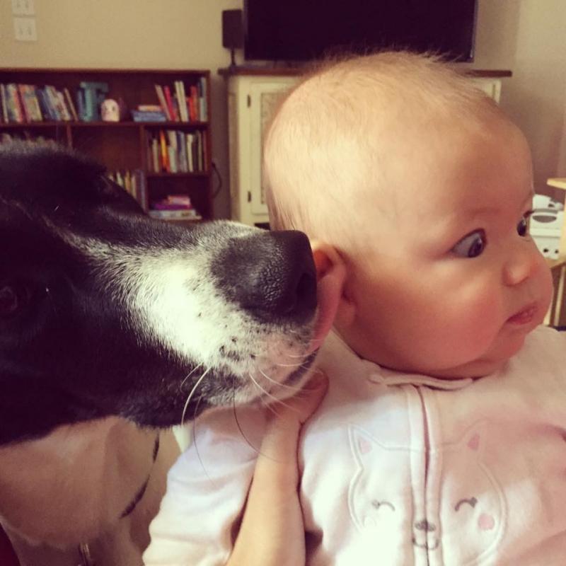 Дети это весело