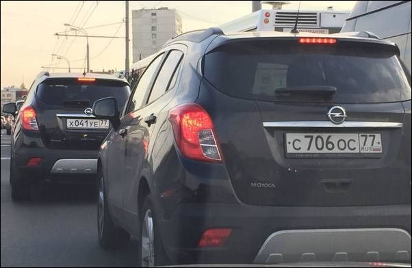 фото-приколы