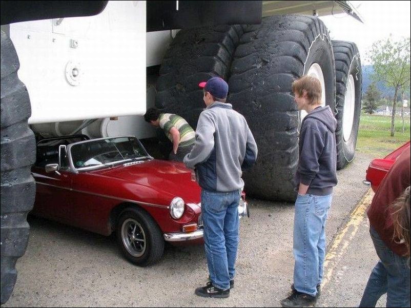 фото-приколы