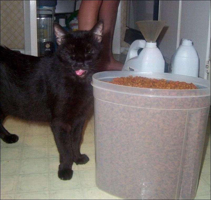 фото-приколы