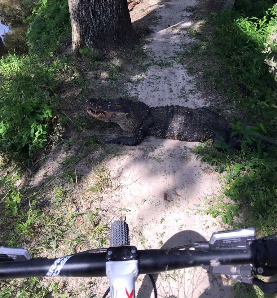 фото-приколы