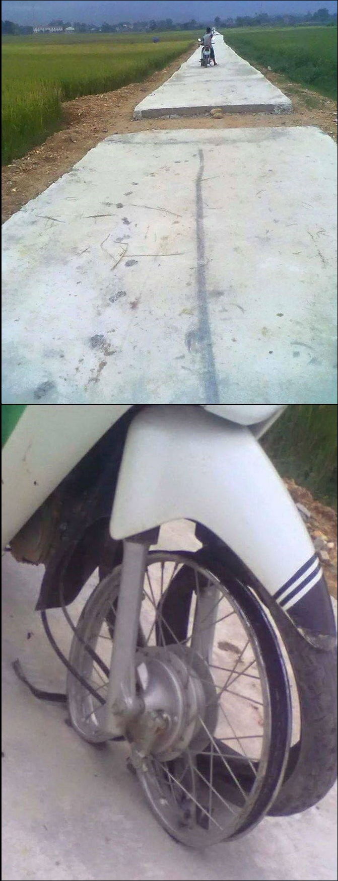 фото-приколы