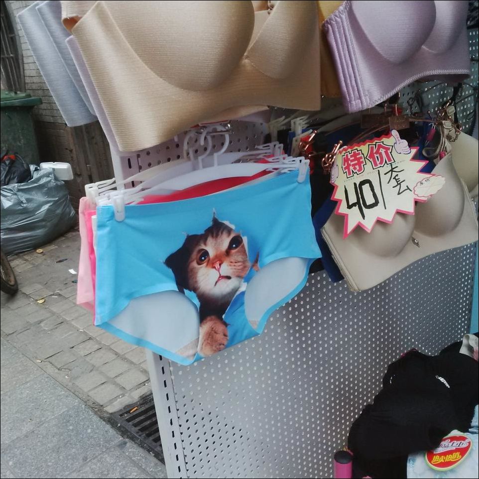 фото-приколы