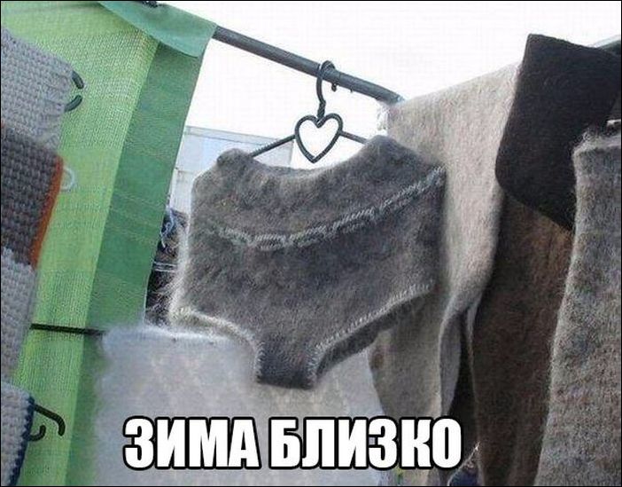 фото-приколы