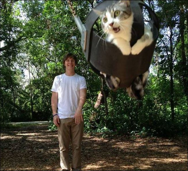 фото-приколы