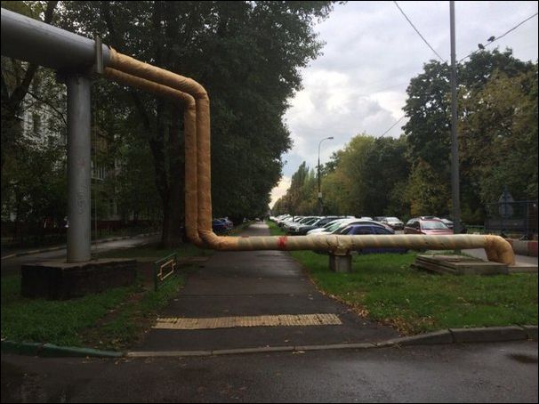 фото-приколы