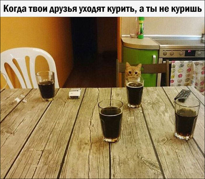 фото-приколы