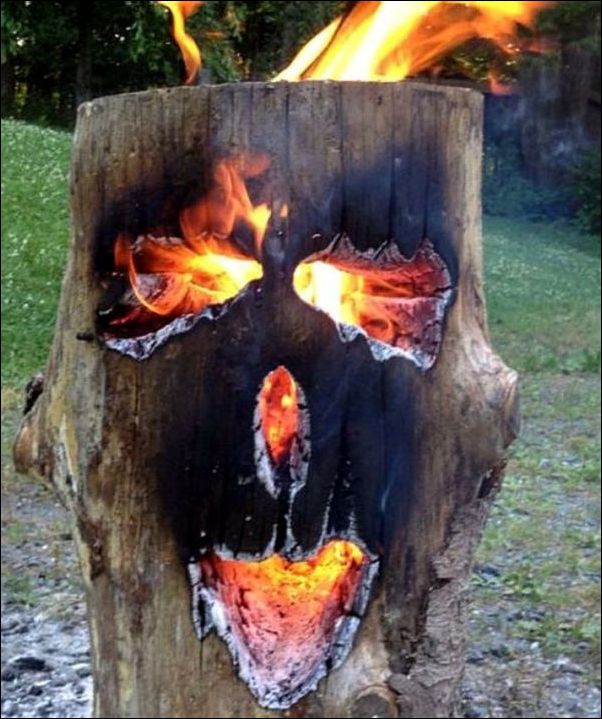 фото-приколы