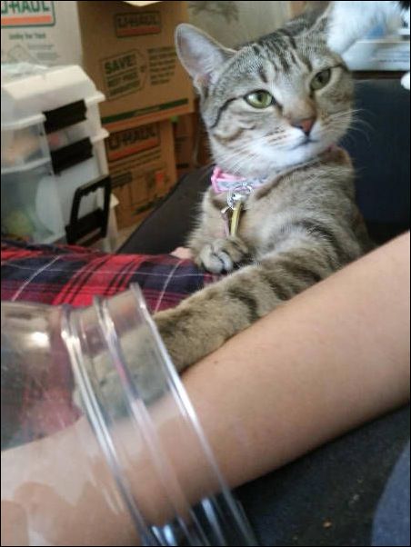 фото-приколы