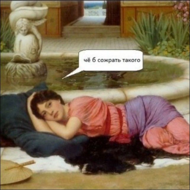 фото-приколы