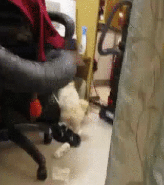 Прикольные гифки