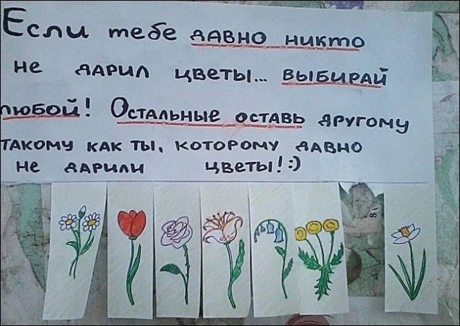 Смешные надписи и объявления