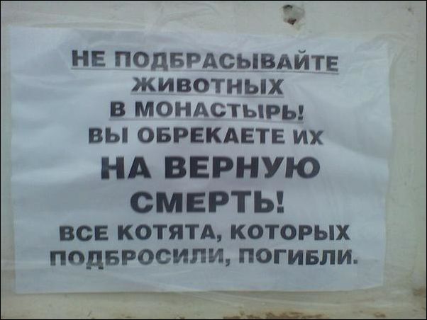 Смешные надписи и объявления