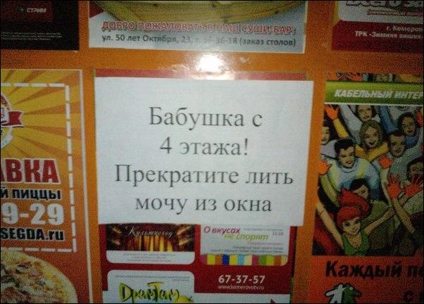 Смешные надписи и объявления