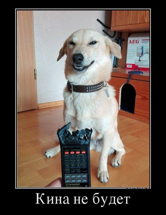 демотиваторы