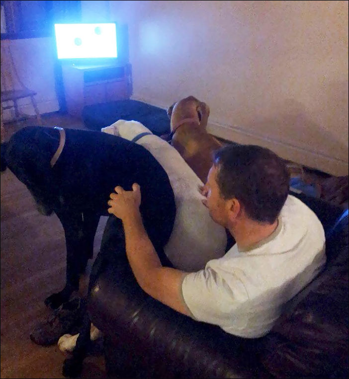 очень большие собаки