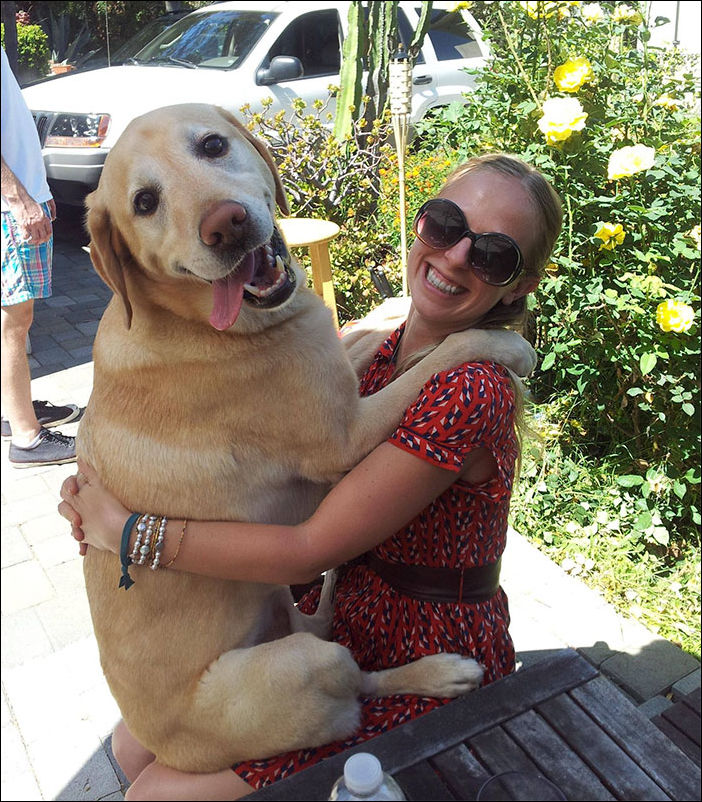 очень большие собаки