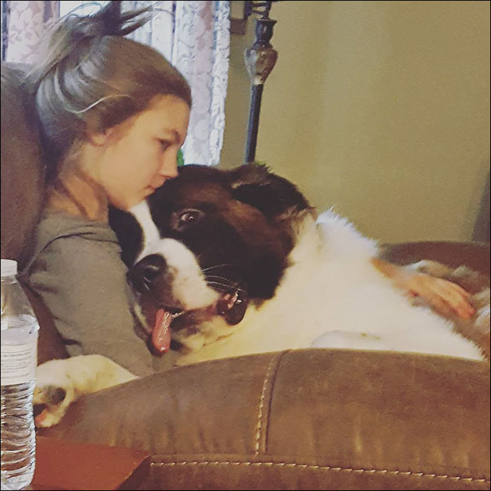 очень большие собаки