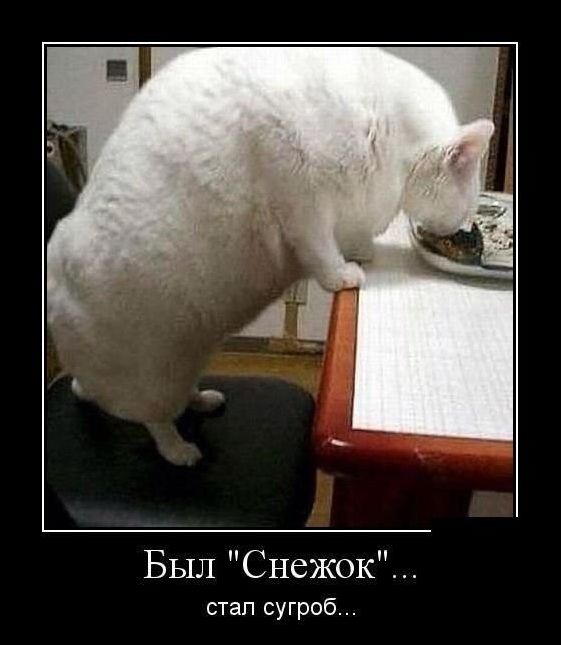 демотиваторы