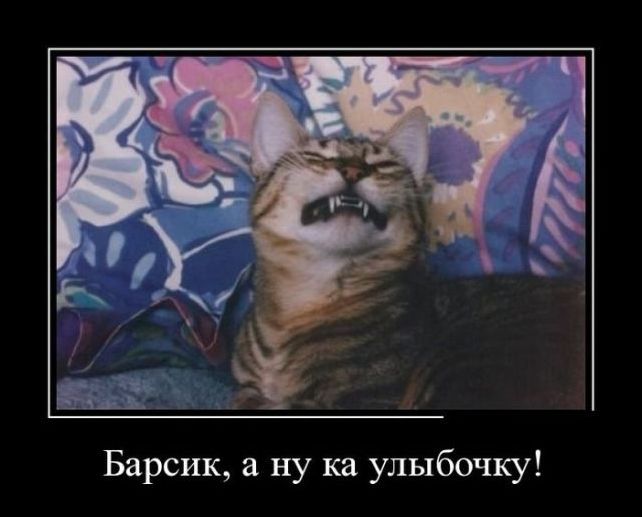 демотиваторы