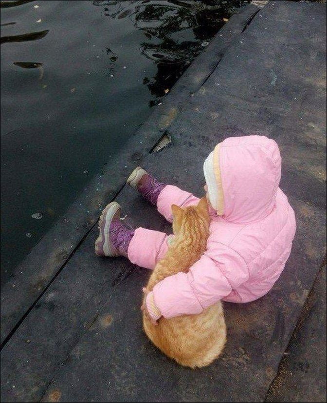 фото приколы